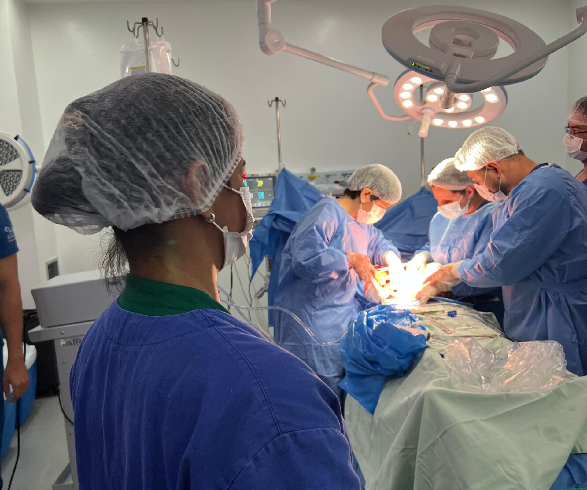 HEC capta orgãos para transplante