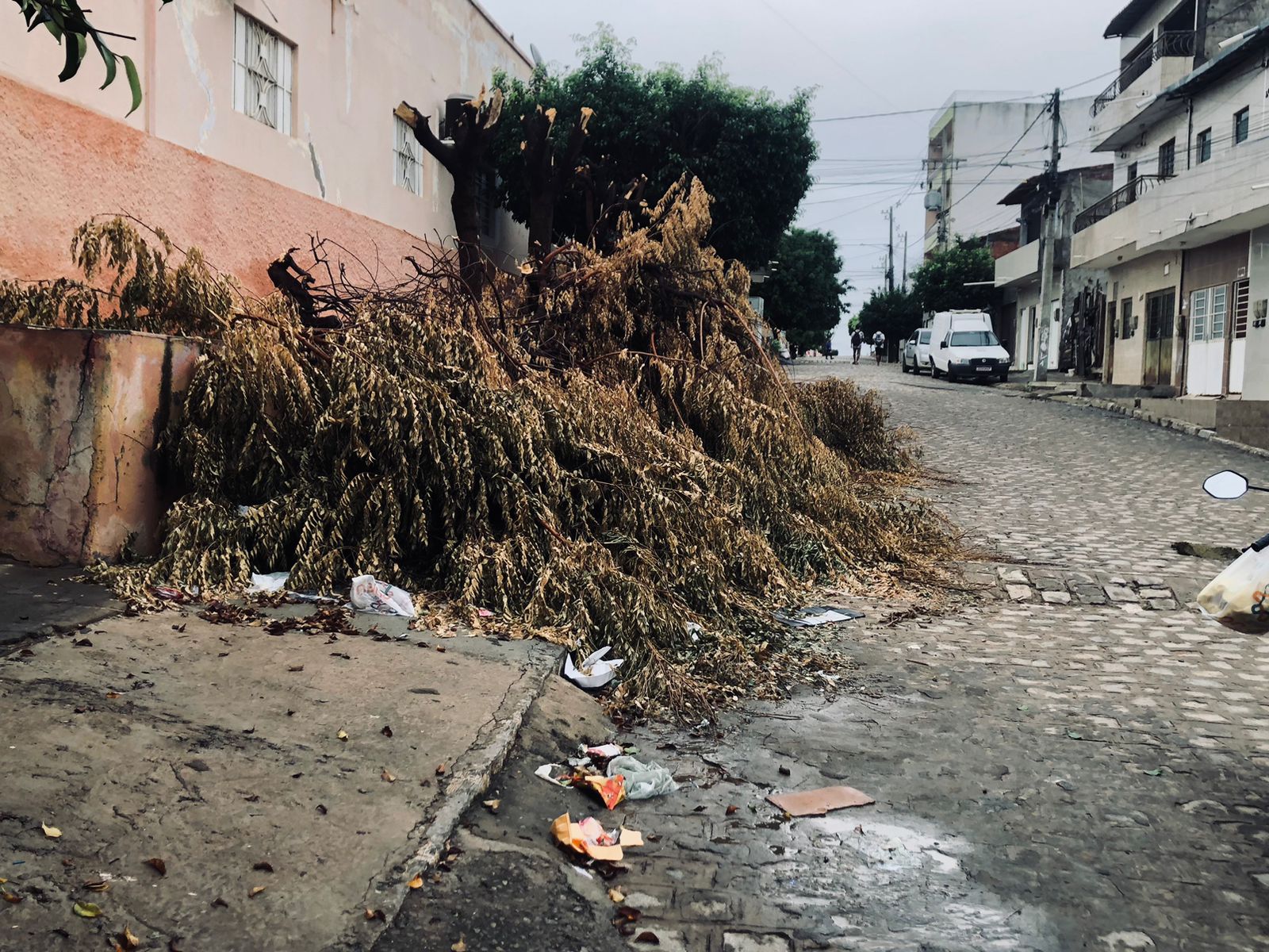 Leitor reclama de morosidade da prefeitura para limpar ruas em ST