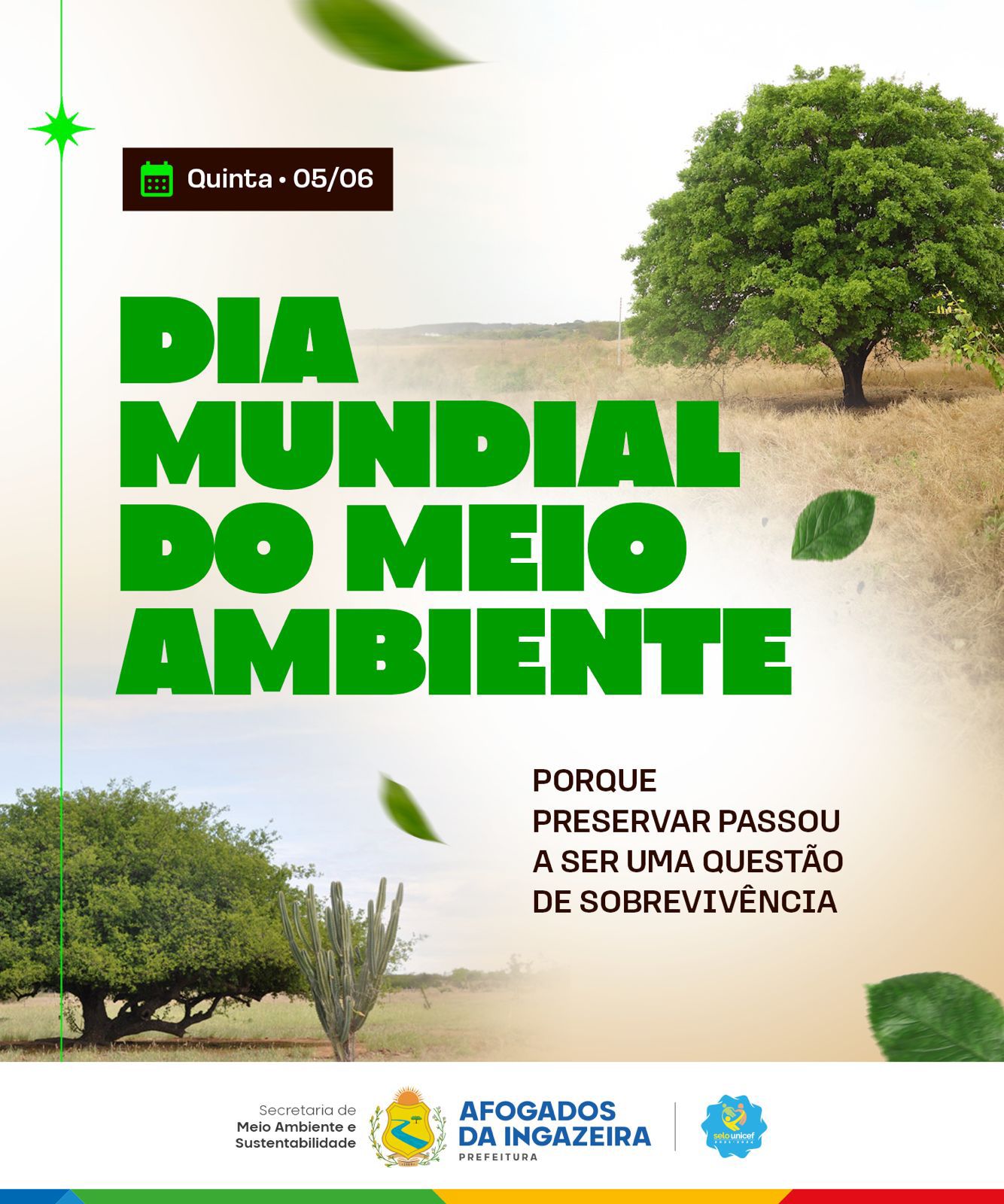 Nascente do sítio Três Umbuzeiros será revitalizada