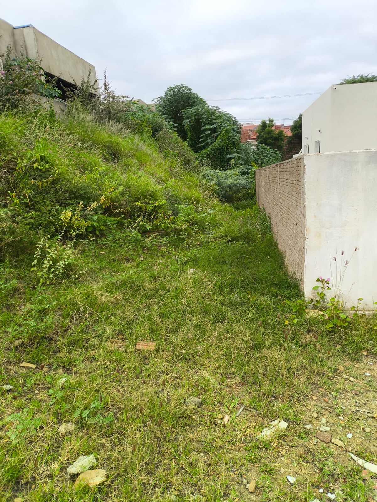 Moradores denunciam estado de abandono em USF do Mutirão em ST