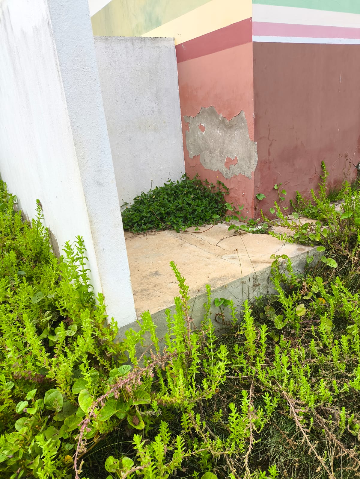 Moradores denunciam estado de abandono em USF do Mutirão em ST