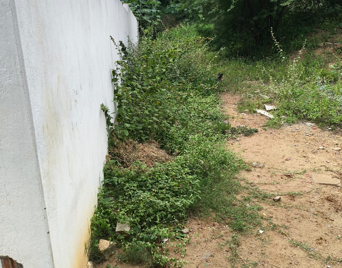 Moradores denunciam estado de abandono em USF do Mutirão em ST