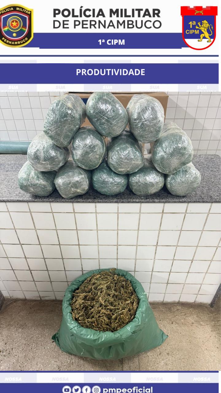 Mais de 23 kg de maconha são apreendidos no Sertão 1 Mais de 23 kg de maconha são apreendidos no Sertão - Foto: Divulgação