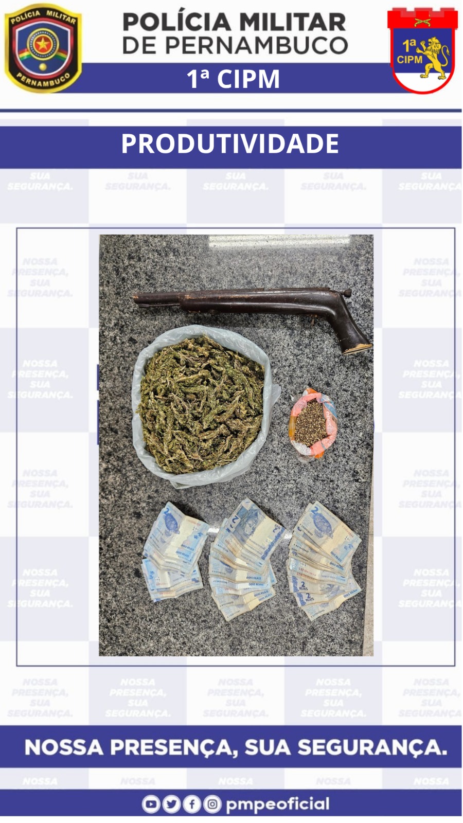 PM incinera plantação de maconha no Sertão 1 Polícia Militar incinera plantação de maconha no Sertão - Foto: Divulgação/PMPE