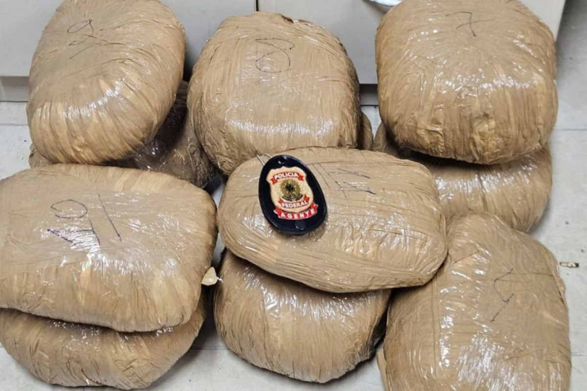 PE prende Idoso em flagrante com 21kg de maconha no TIP - Foto: Divulgação/PF