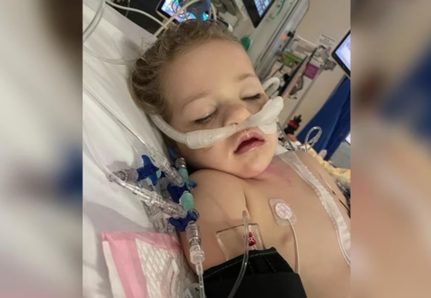 Menina de 3 anos entra em coma após engolir dois ímãs pequenos - Foto: Divulgação/GoFundMe