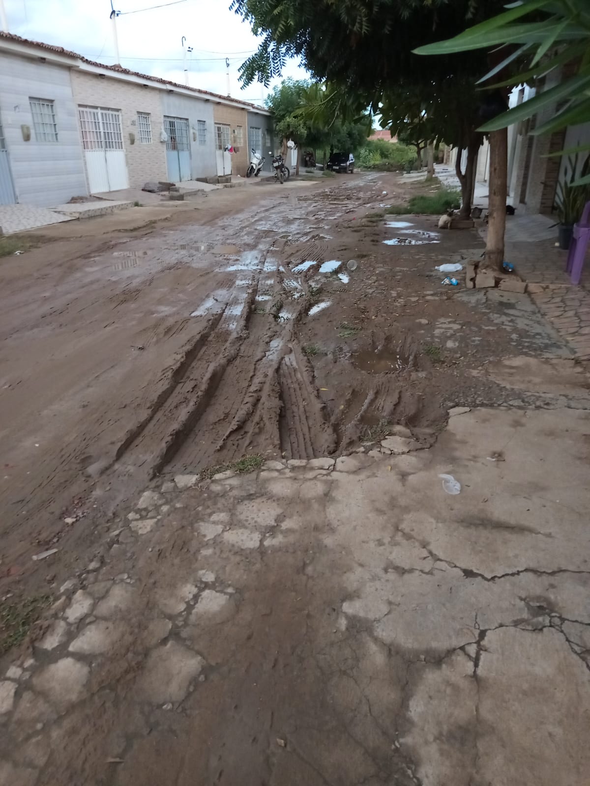 Moradores registram rua em estado precário há 4 anos em ST