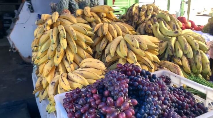 Frutas de época aquecem o comércio em ST e feirantes comemoram