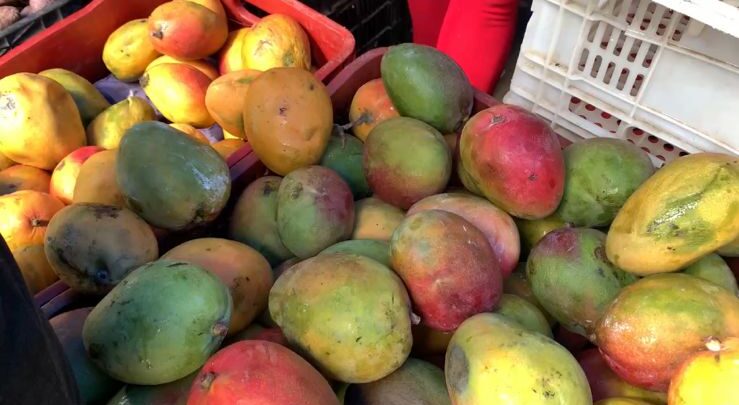 Frutas de época aquecem o comércio em ST e feirantes comemoram