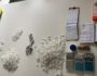 Polícia Militar apreende mais de 700 pinos de cocaína 1 Foto: Divulgação/PMPE