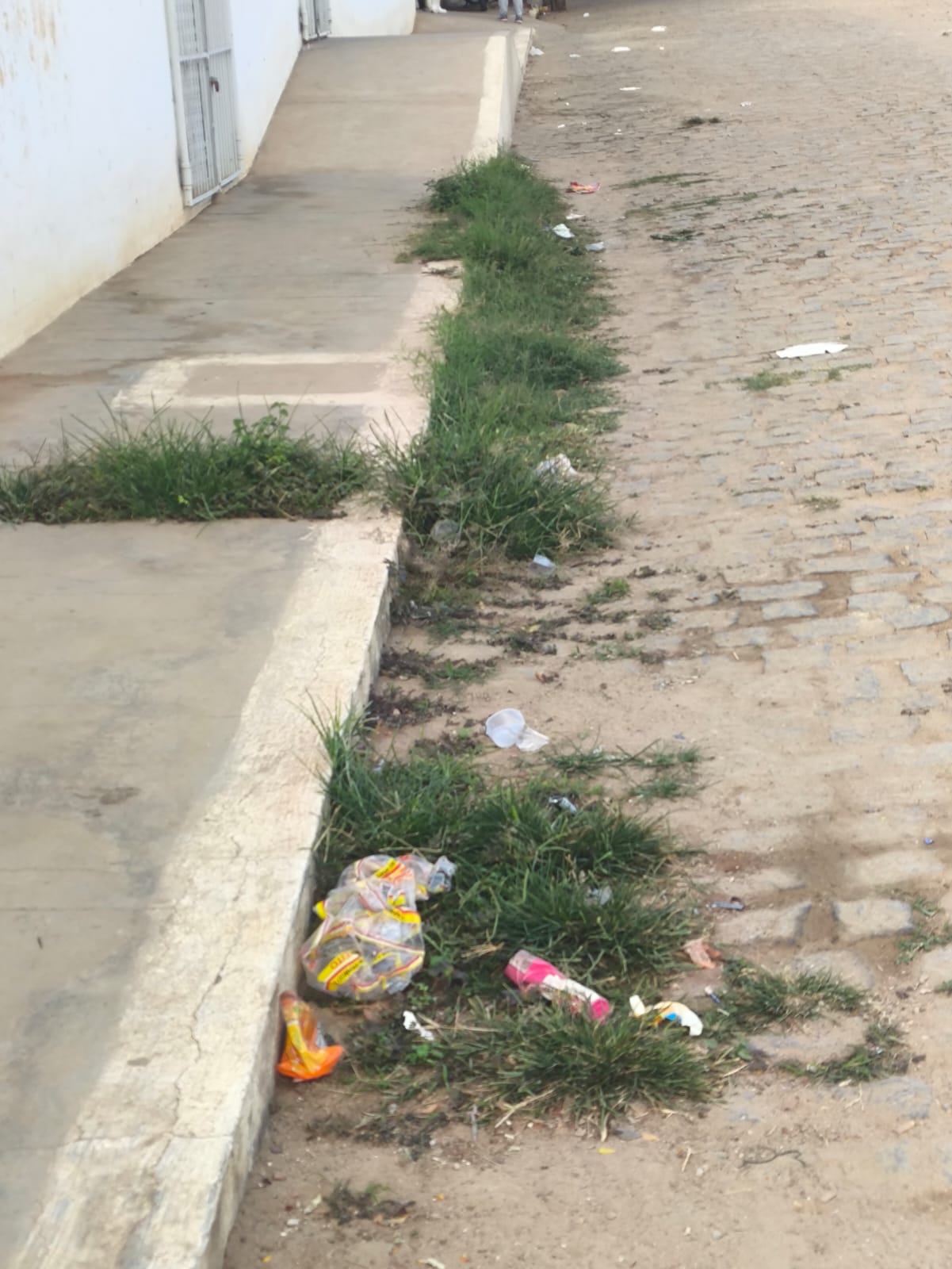 Leitor denuncia matagal em rua de Serra Talhada: "É descaso demais", desabafa