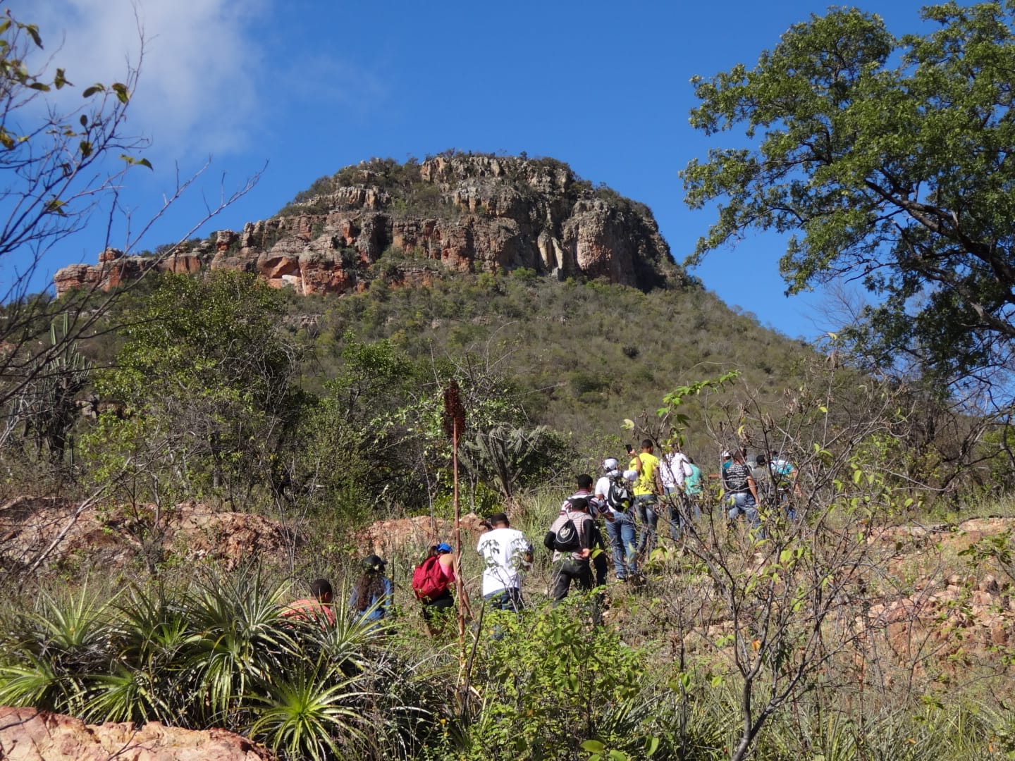 Desde 2014, a subida da Serra do Pico é uma experiência extraordinária