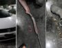 PE: Pai e filho são presos suspeitos de entregar drogas 2 Foto: PMPE/Divulgação