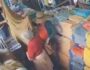 Idosa de 85 anos é furtada dentro de loja em Salgueiro 1 Idosa de 85 anos é furtada dentro de loja em Salgueiro