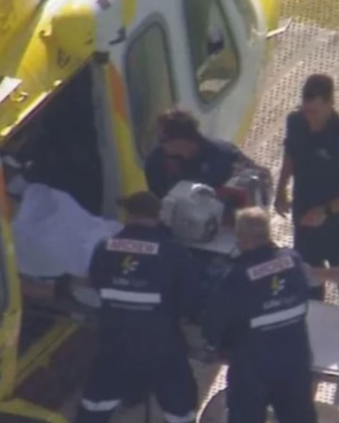 Mulher tem braço arrancado por leão em zoológico na Austrália