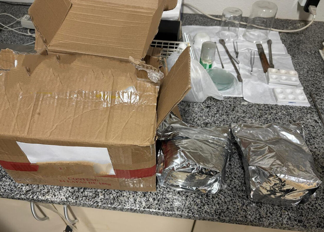 Homem é preso com 3 quilos de metanfetamina no Agreste 1 Homem é preso com 3 quilos de metanfetamina no Agreste - Foto: Polícia Federal/Divulgação