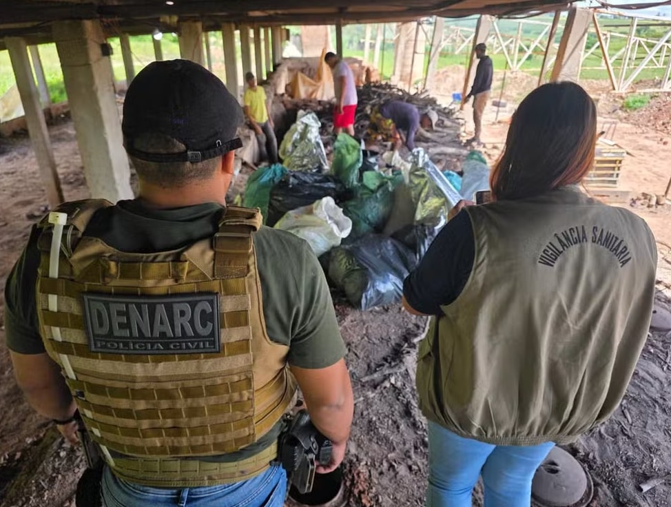 Polícia Civil queima 400 kg de drogas apreendidas no Agreste 1 Polícia Civil queima 400 kg de drogas apreendidas no Agreste - Foto: Polícia Civil