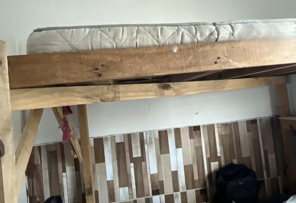 48 trabalhadores são resgatados em condições degradantes - Foto: MPT/Divulgação