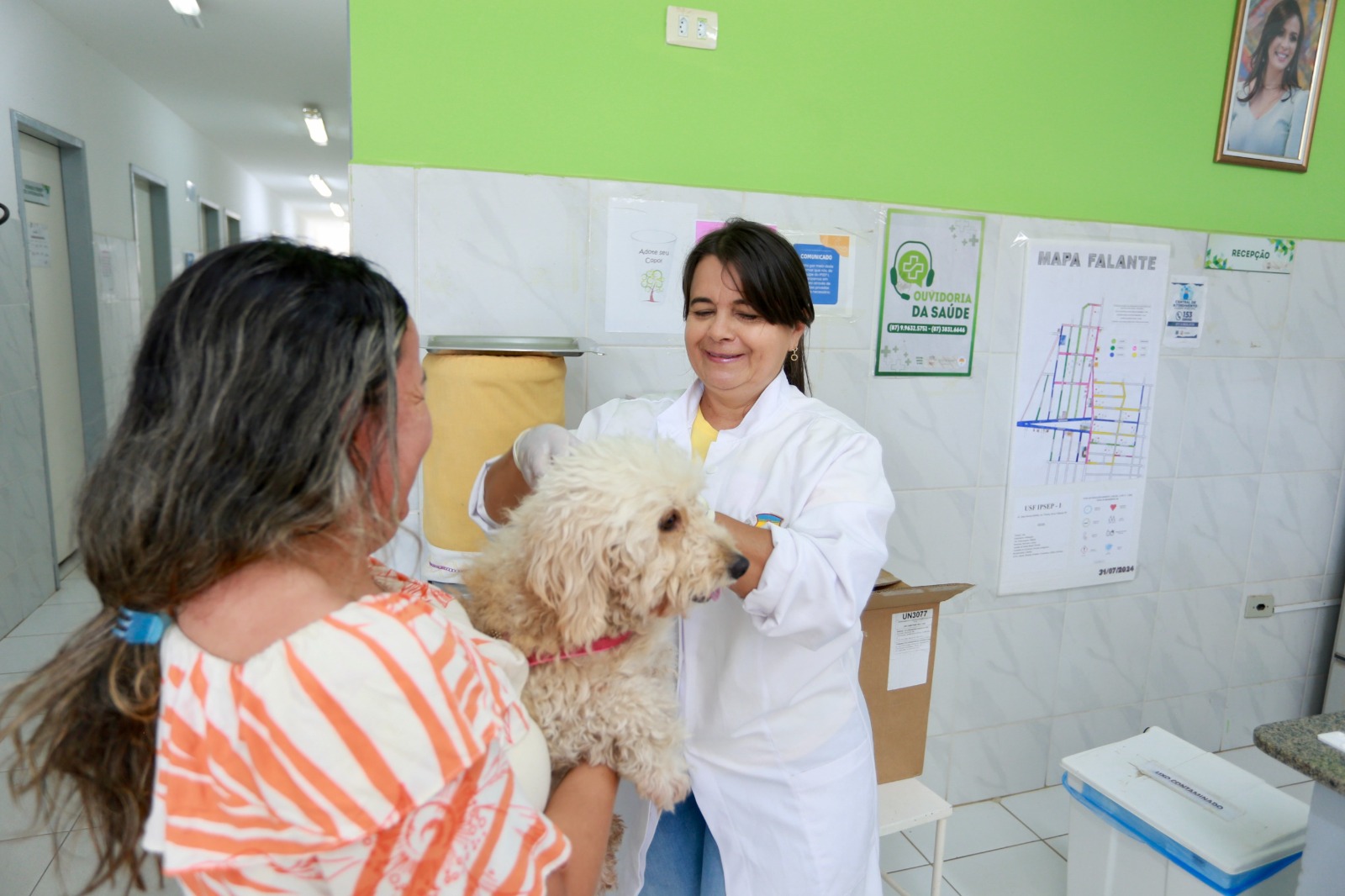 Prefeitura apresenta balanço de ações voltadas à causa animal em ST 1 Fotos: Divulgação