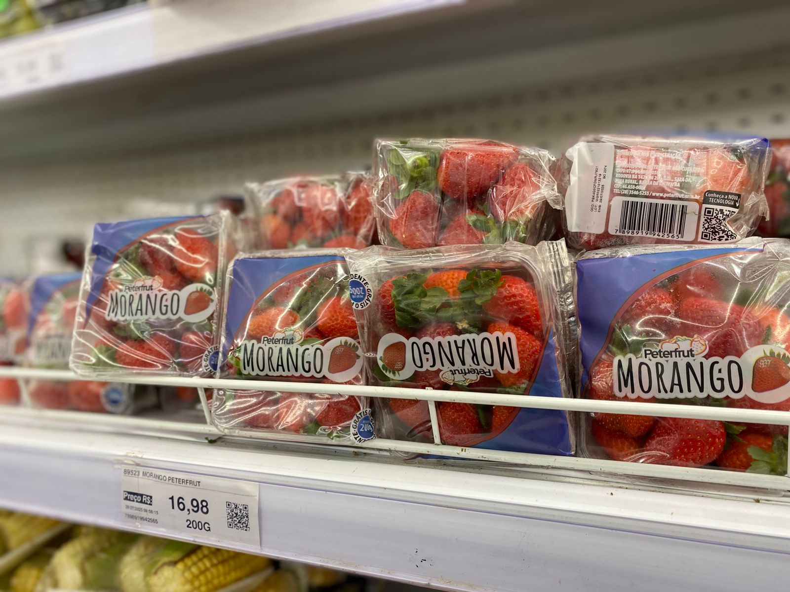 Morango do amor viraliza e preços disparam em Serra Talhada 1 Fotos: Licca Lima/Farol de Notícias