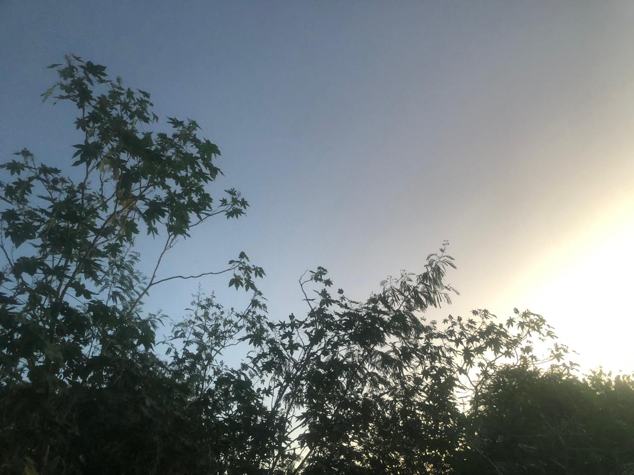 Terreno no bairro AABB vira lixão e 'motel a céu aberto', diz moradora