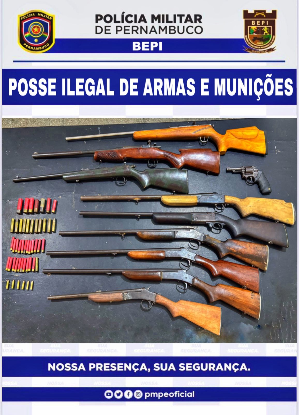 Homem é detido com 10 armas e munições no Agreste de PE - Foto: Divulgação/PMPE