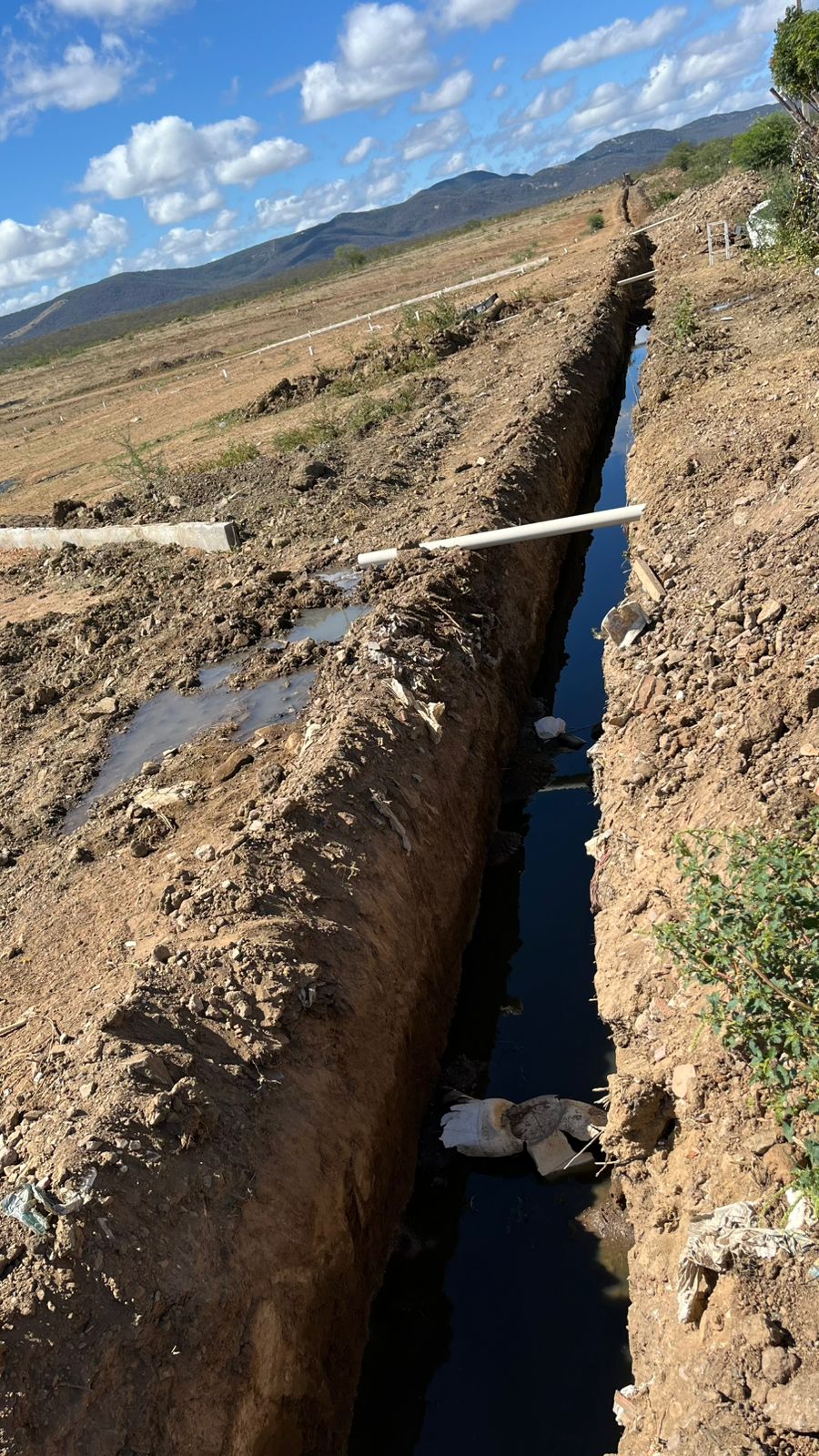 Moradora denuncia esgotos a céu aberto na Caxixola e proliferação de insetos