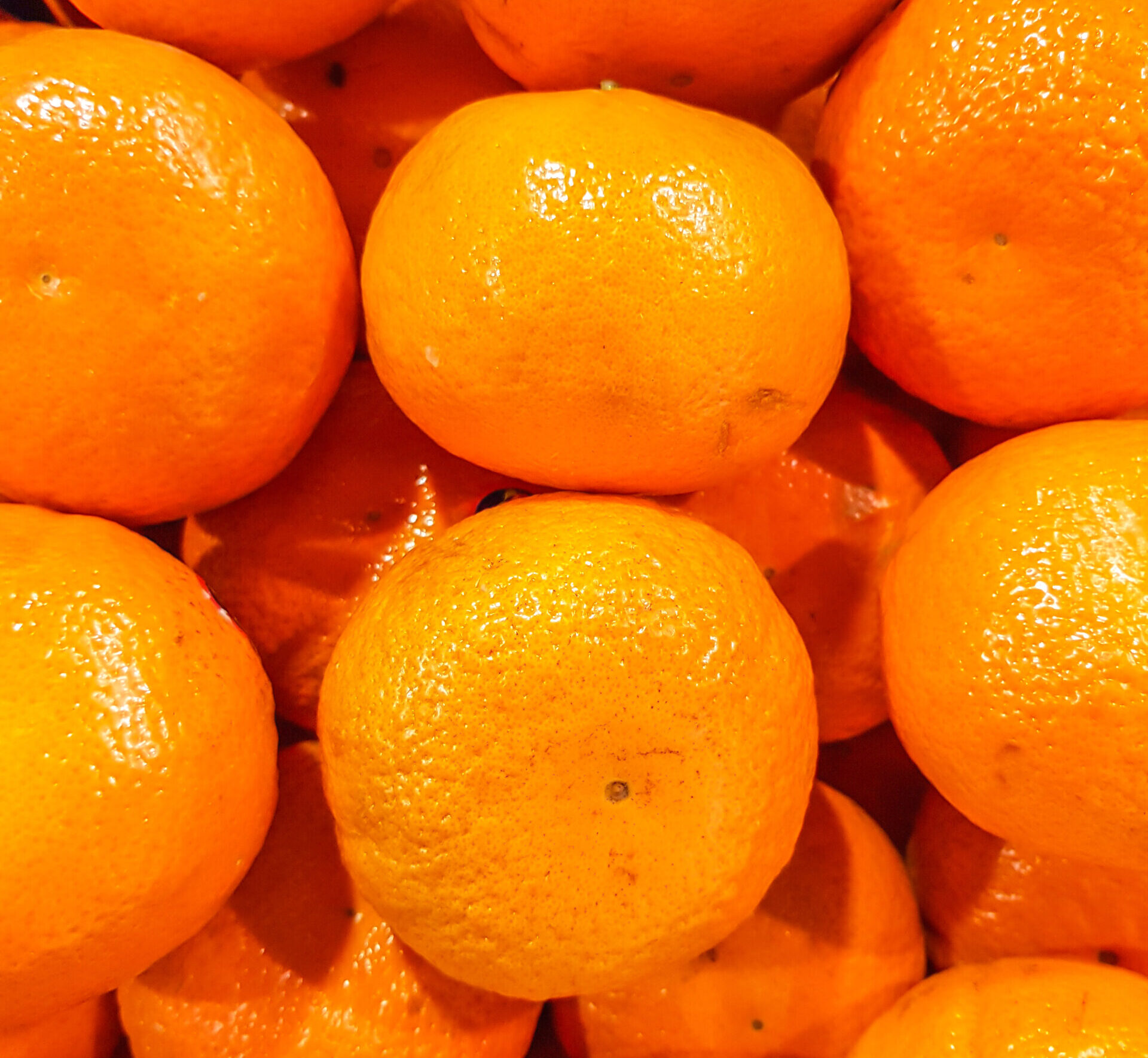 Saiba os benefícios para a saúde de comer tangerina todos os dias 1 Saiba os benefícios para a saúde de comer tangerina todos os dias - Foto: Freepik