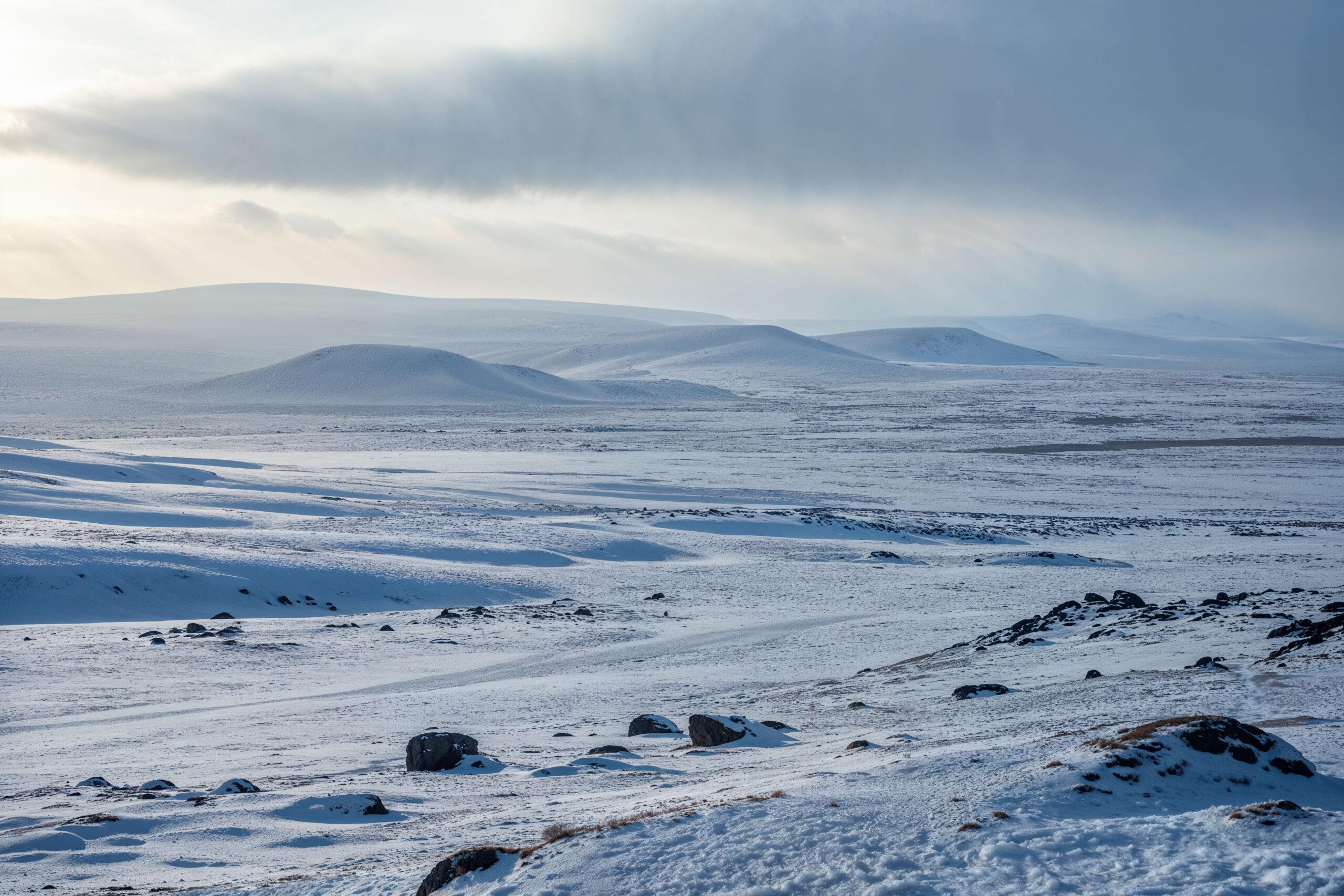 Imagem Ilustrativa/Freepik