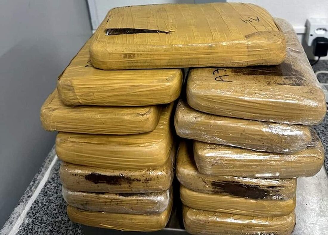 Homem é preso com 13 kg de skunk no Grande Recife 1 Homem é preso com 13 kg de skunk no Grande Recife - Foto: Divulgação/Polícia Federal