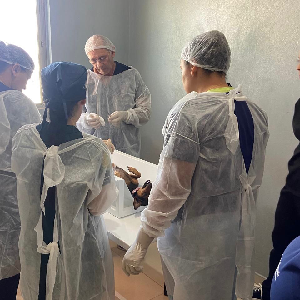 Prefeitura de Santa Cruz realiza 1º Mutirão de Castração de Animais de Rua 1 Prefeitura de Santa Cruz realiza 1º Mutirão de Castração de Animais de Rua