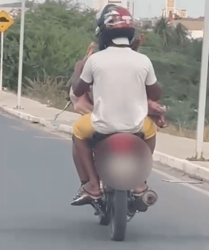 Flagra de abate clandestino revela os perigos com a saúde pública em ST