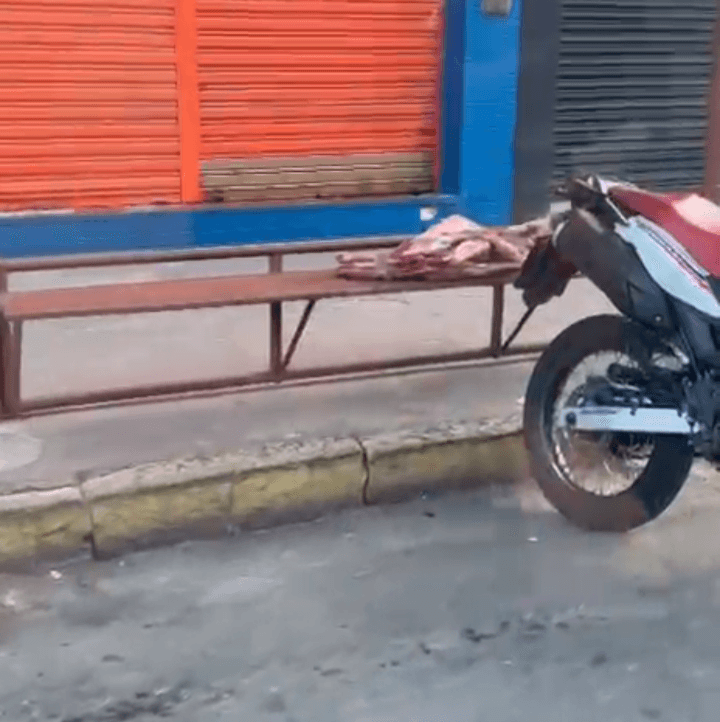 Flagra de abate clandestino revela os perigos com a saúde pública em ST