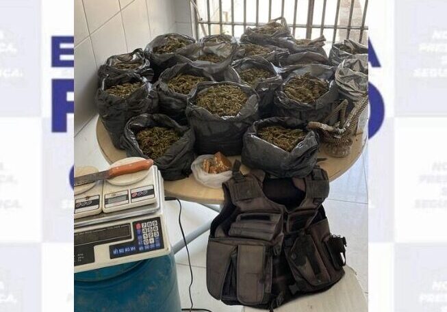 Fotos: Divulgação/PMPE