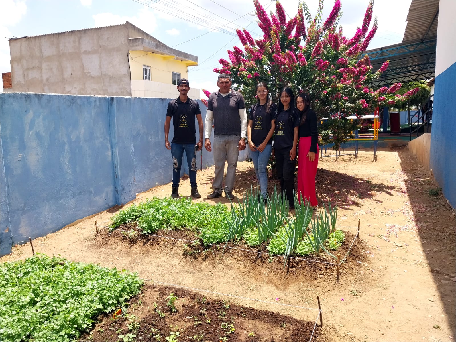Projeto de horta orgânica une sustentabilidade e educação