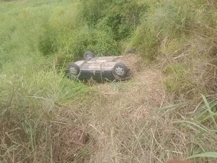 Agreste: Menino de 5 anos sobrevive a acidente na BR-424 1 Menino de 5 anos sobrevive a acidente na BR-424 - Foto: Reprodução