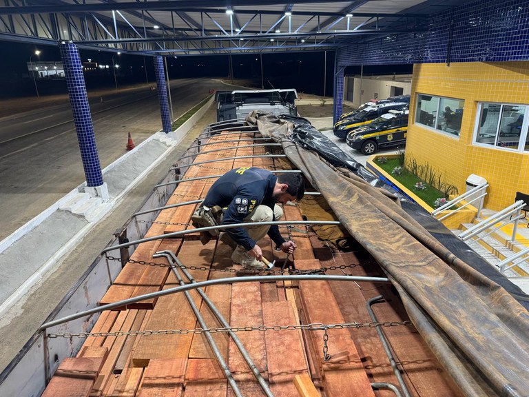 Madeira irregular apreendida pela PRF é doada também para Serra Talhada 1 Madeira irregular apreendida pela PRF é doada também para Serra Talhada