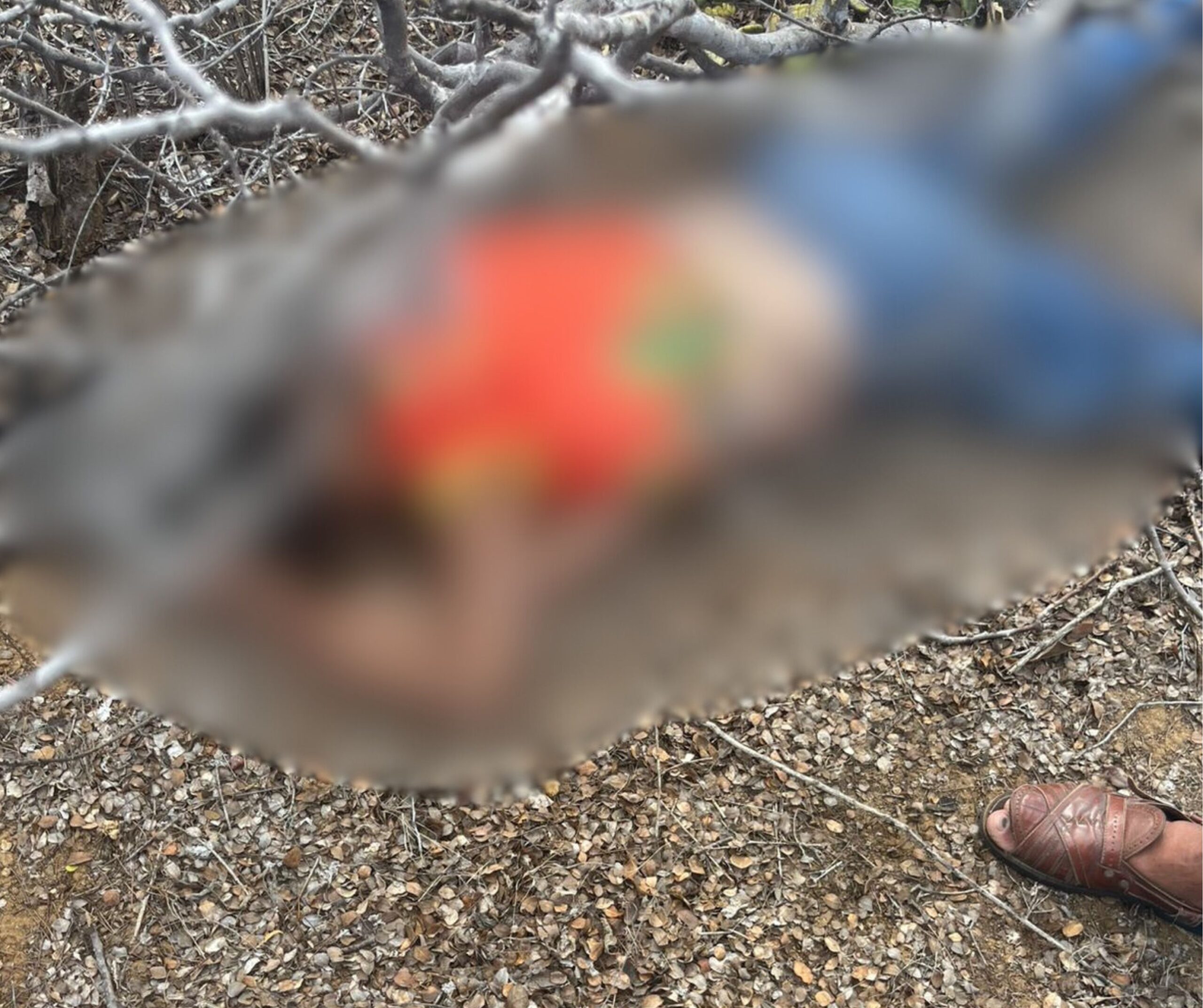 Grave acidente deixa 2 vítimas fatais entre ST e Floresta