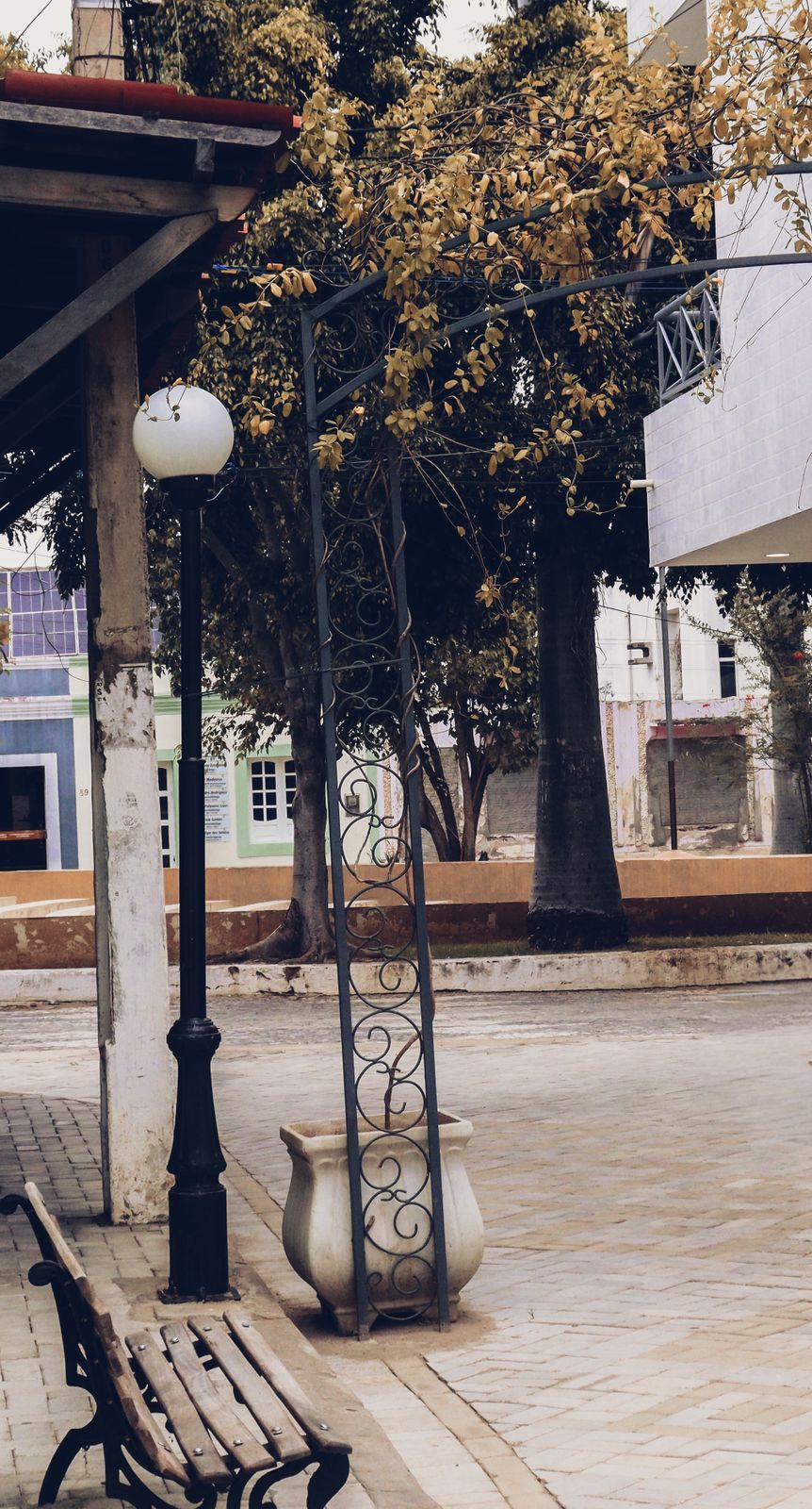 Fotógrafa revela poesia no conturbado dia a dia do centro de Serra Talhada