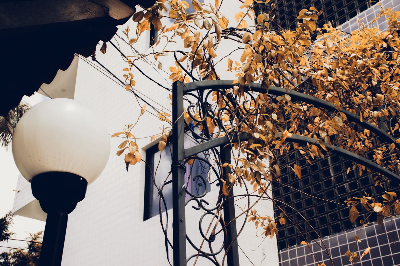 Fotógrafa revela poesia no conturbado dia a dia do centro de Serra Talhada