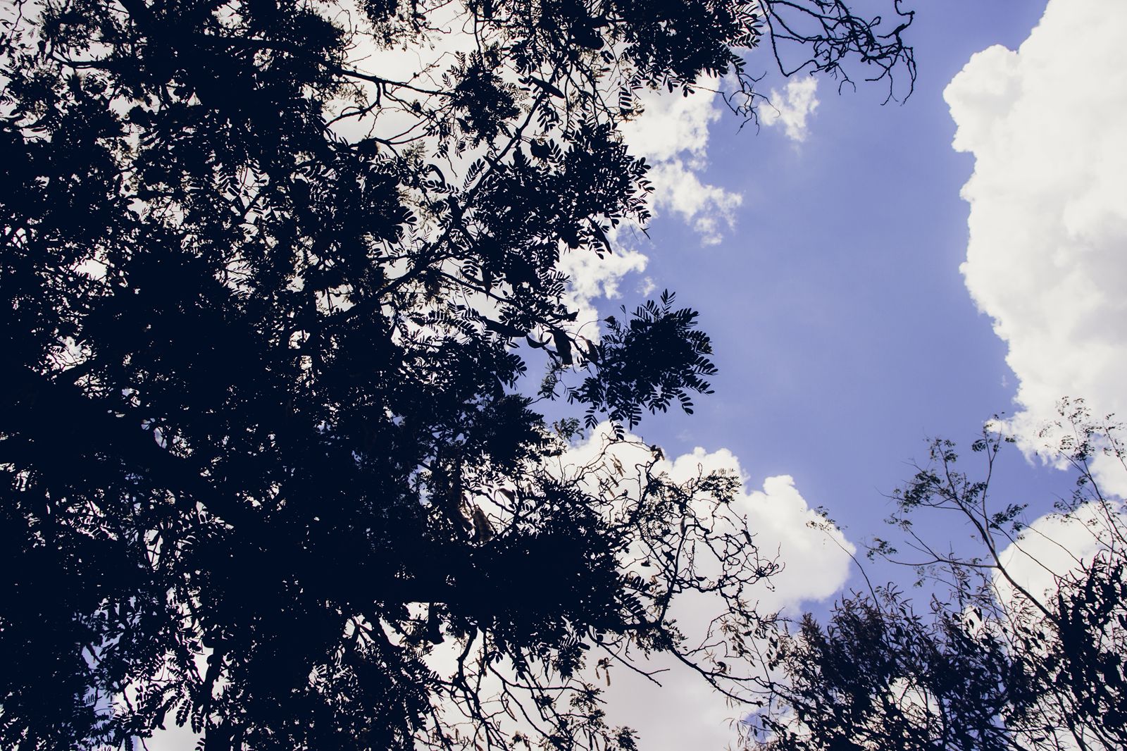 Fotógrafa revela poesia no conturbado dia a dia do centro de Serra Talhada