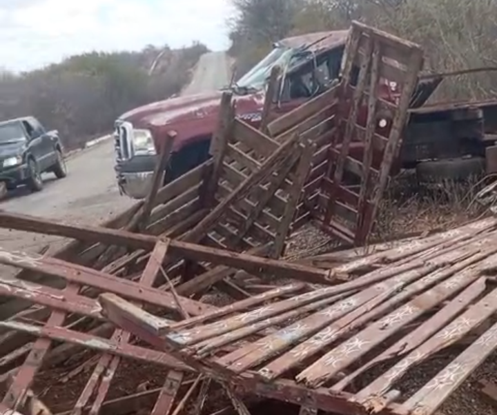 Caminhonete cheia de animais perde o controle em acidente na PE-390 1 Caminhonete acidente