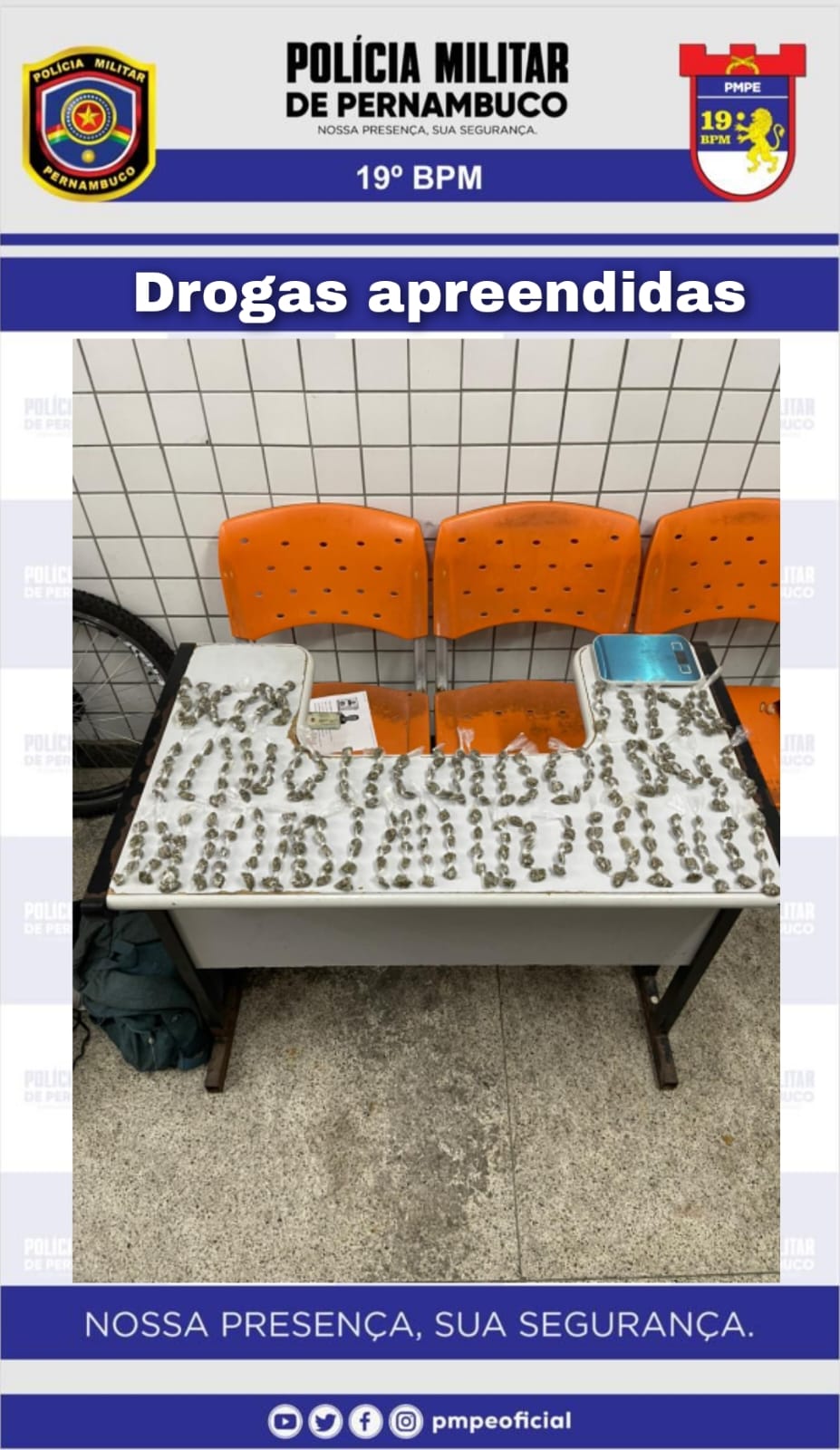 PM coloca fim a grande produção de entorpecentes no Agreste - Foto: Divulgação/PMPE