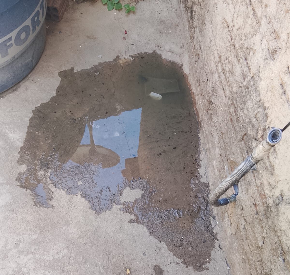 Foto enviada ao Farol