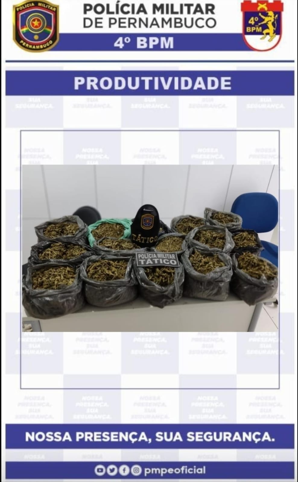 PM apreende 14kg de maconha enterrados 1 Foto: Divulgação/PMPE