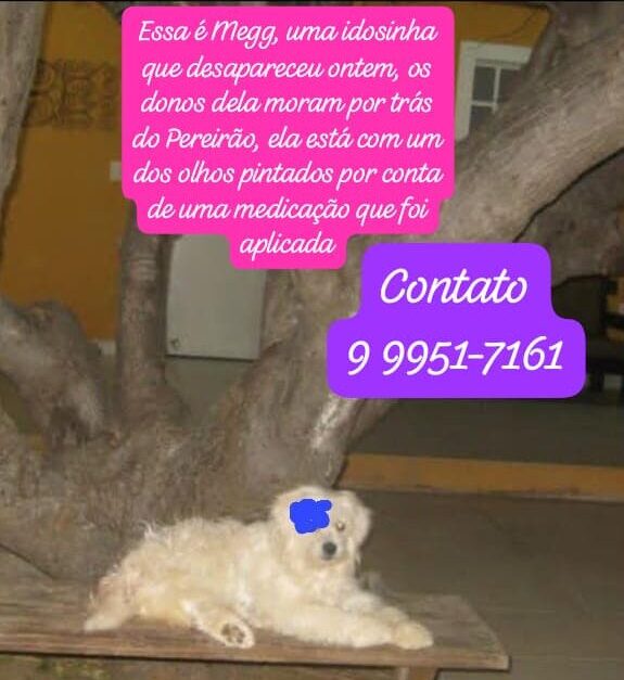 tutores oferecem recompensa