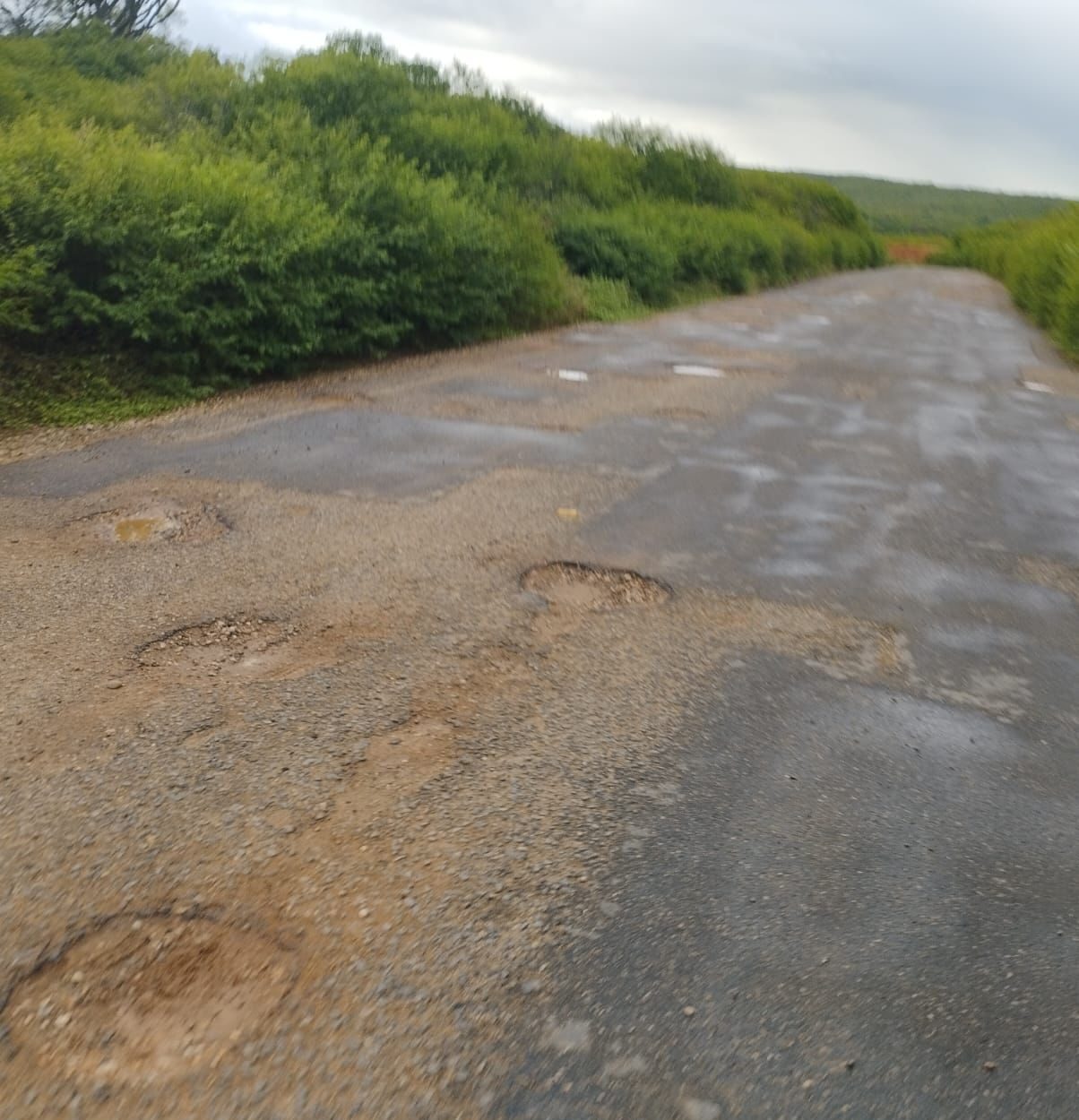 Governo anuncia e some com o edital da PE-425 1 Foto: Reprodução