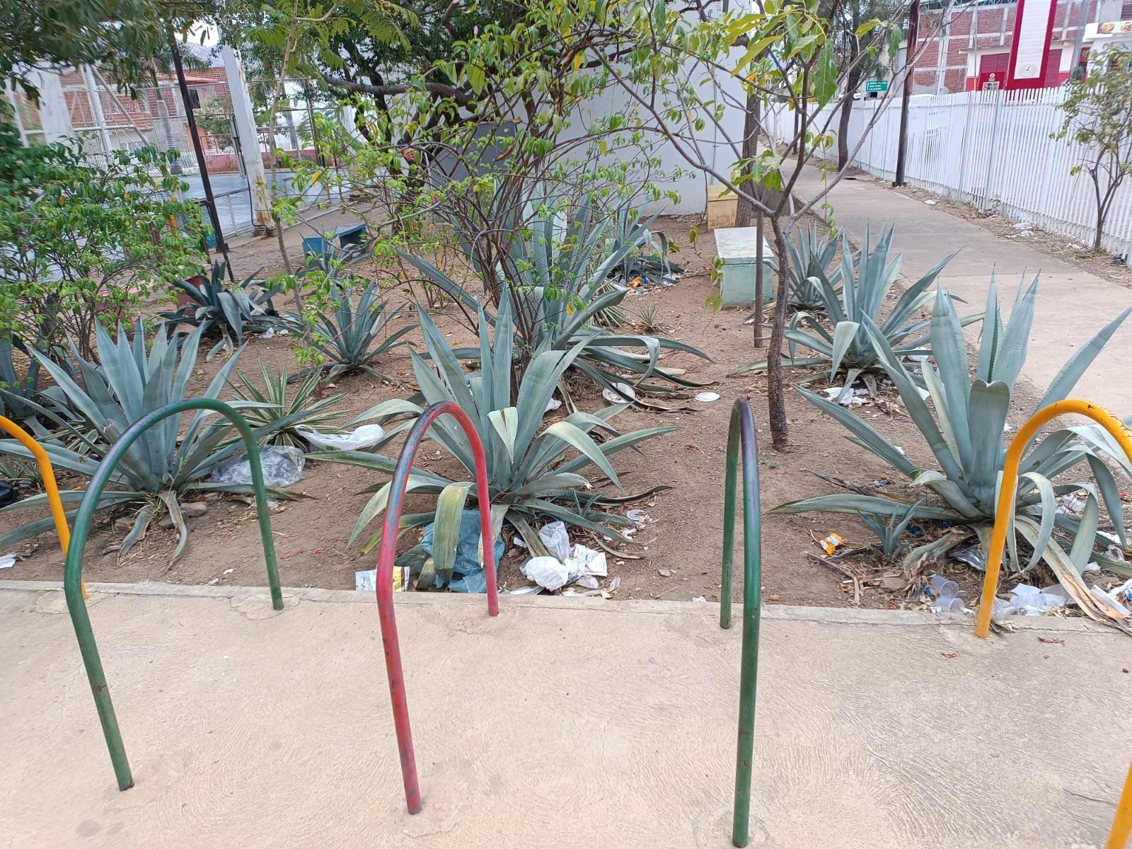 Leitora denuncia acúmulo de lixo próximo ao CRAS da Caxixola