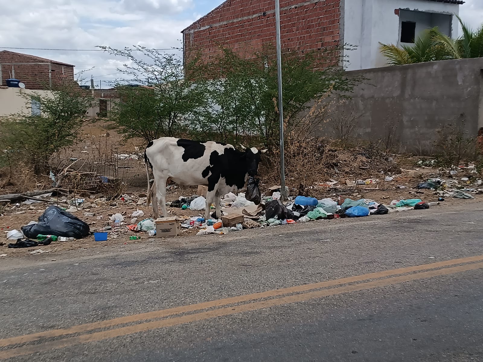 Fotos enviadas ao Farol