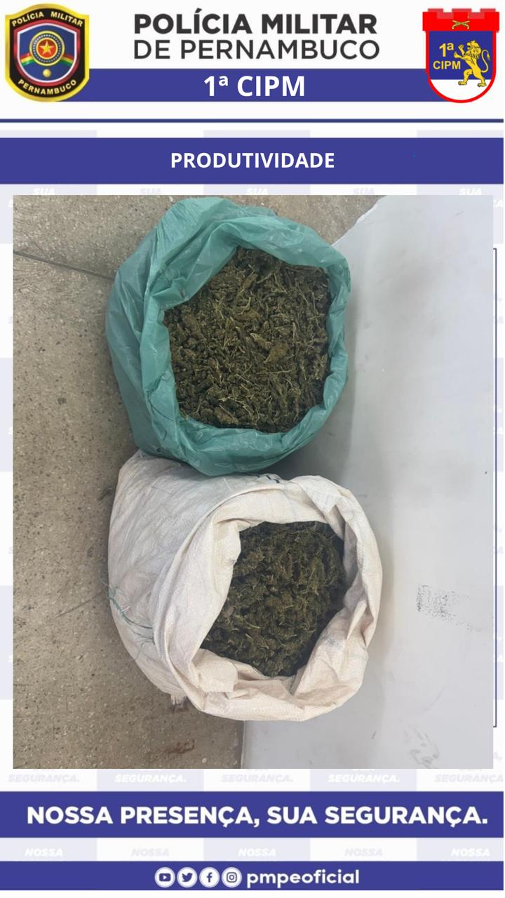 Homens são presos com 12 kg de maconha após fuga 1 Dois homens são presos com 12 kg de maconha após fuga - Foto: Divulgação/PMPE